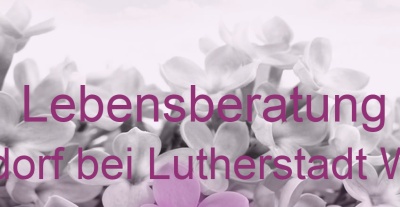 Lebensberatung Dietrichsdorf bei Lutherstadt Wittenberg | Top-Experten für Kartenlegen, Wahrsagen, Hellsehen, Zukunftsdeutung.